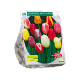 Gemengde Tulpen per 20