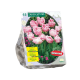 Dubbele Roze Tulpen per 15